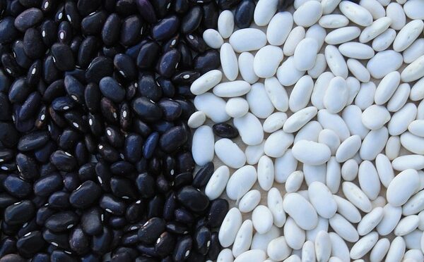 What Is the Best Bean Combination for Chili?