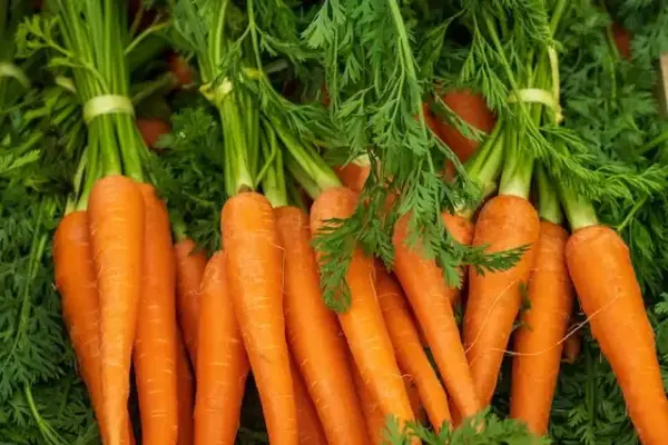 Why Put Carrots in Chili?